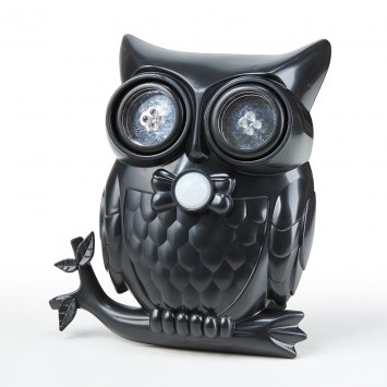 Hibou vigilant
