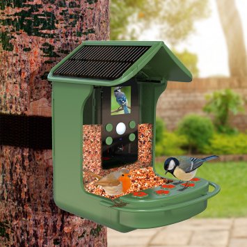 Mangeoire à oiseaux solaire avec caméra