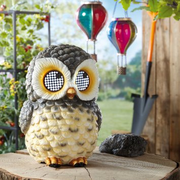 Hibou solaire aux yeux qui bougent