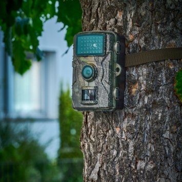 Caméra faune sauvage