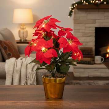 Étoile de Noël avec LED