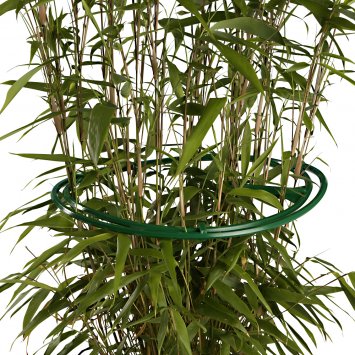 Anneaux pour plantes vivaces, lot de 6