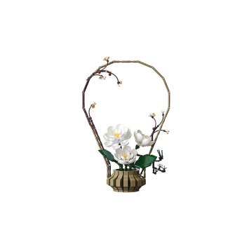 Bouquet hiver CaDA