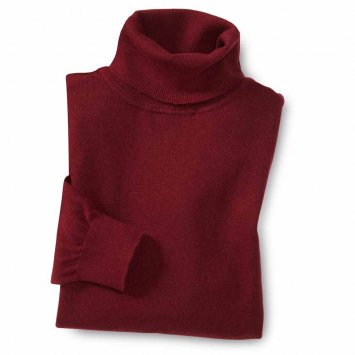 Pull-over à col roulé