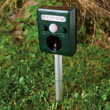 Mini repousse-animaux solaire à ultrasons