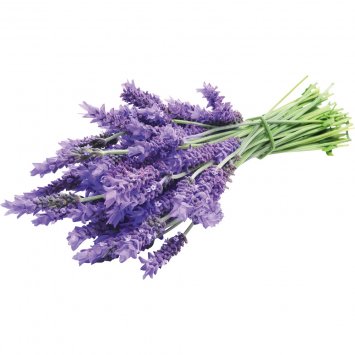 Sachets de lavande Lot de 3