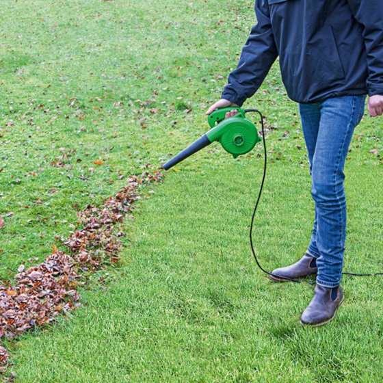 Souffleur-aspirateur de feuilles compact 