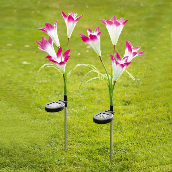 Fleurs LED solaires Lot de 2  