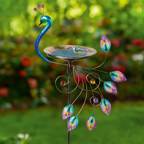 Bain d'oiseau « paon » 