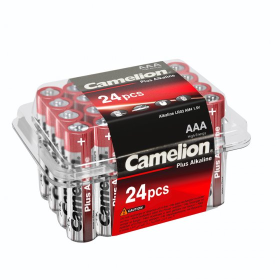 Lot économique de 24 piles Micro (AAA) 