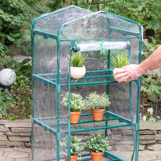 Serre pour plantes