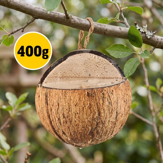 Friandise pour oiseaux à la noix de coco et au beurre de cacahuète, 400 g 