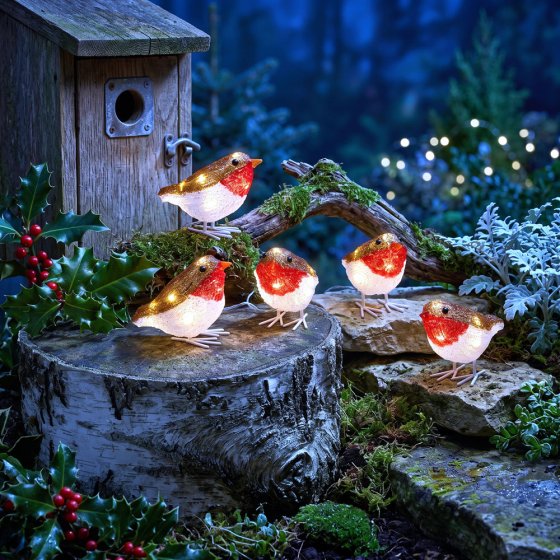 Décorations lumineuses en acrylique « Rouge-gorge » 
