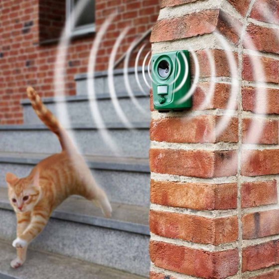 Dispositif anti-chats et anti-chiens fonctionnant sur piles 