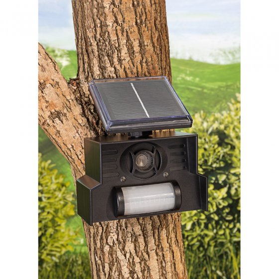 Chasse-oiseaux solaire