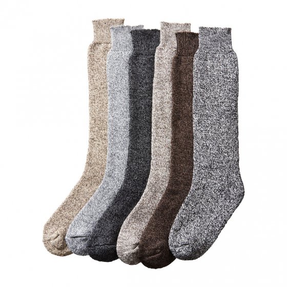 Chaussettes  thermiques Lot de 6  43/46