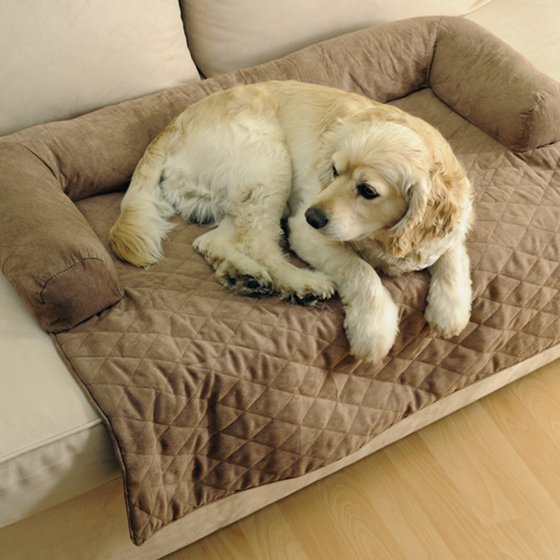 Canapé pour chien et chat