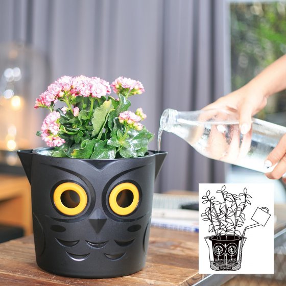 4-Set Pot à Fleurs d'arrosage Automatique, Pots Fleurs Automatique avec  Indicateur de Niveau d'eau, Pot de Fleurs Jardinière Intér - Cdiscount  Jardin