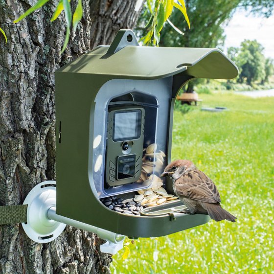 Tout savoir sur les oiseaux avec cette camera intelligente et son mangeoire  