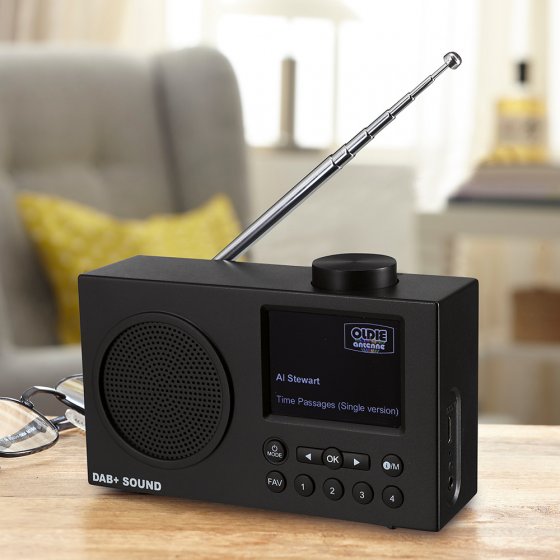 Radio DAB+ compacte avec écran couleur 