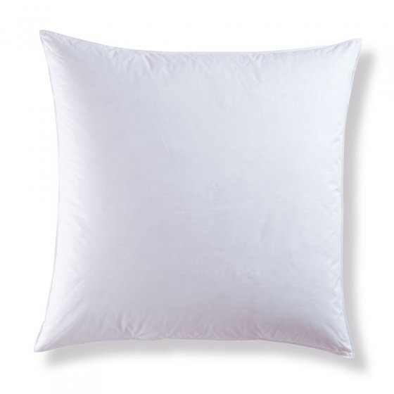 Oreiller duvet/plumes