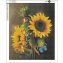 Peinture au diamant, tournesol - 1