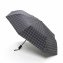 Parapluie de poche à ouverture automatique - 1