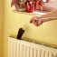 Brosse pour radiateur plat - 1