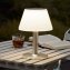 Lampe de table LED solaire - 1