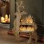 Grand renne lumineux - 1