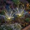 Lucioles de jardin solaires - 1