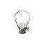 Bouquet hiver CaDA - 1