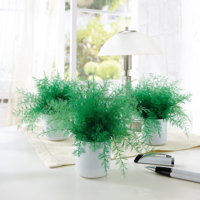 Anti-moustique "Neptunus"