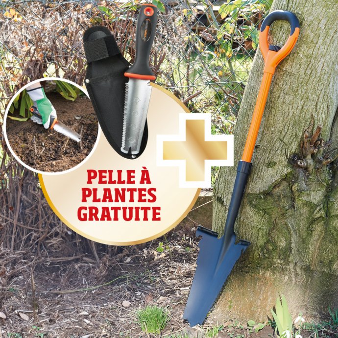 Bêche coupe-racine