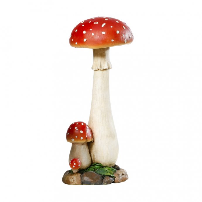 Amanite tue-mouche 30 cm