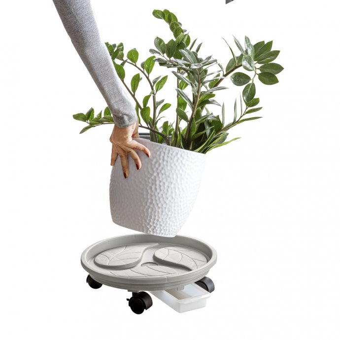 Support à roulettes pour plantes avec bac de récupération