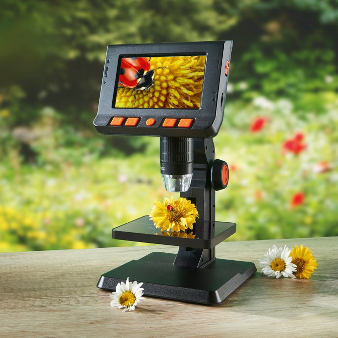 Microscope numérique à écran