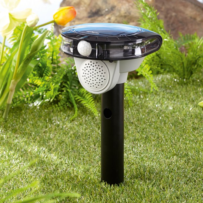 Répulsif solaire contre les oiseaux