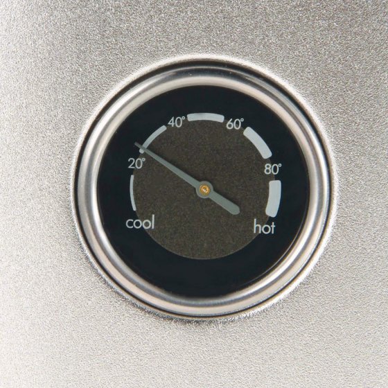 Bouilloire avec thermostat 