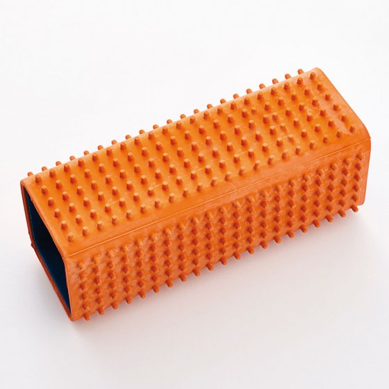 Brosse anti-poils