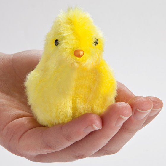 Poussin de Pâques magique