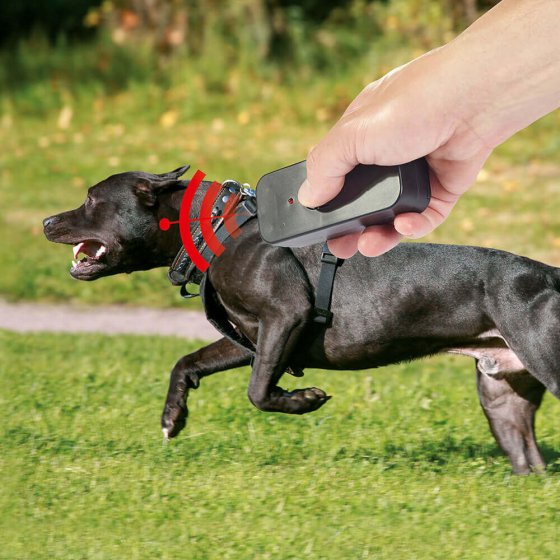 Répulsif animal à ultrason