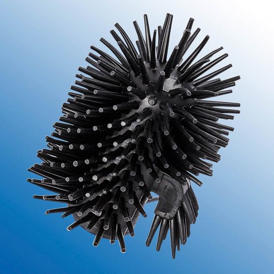 Brosses de rechange Lot de 2  