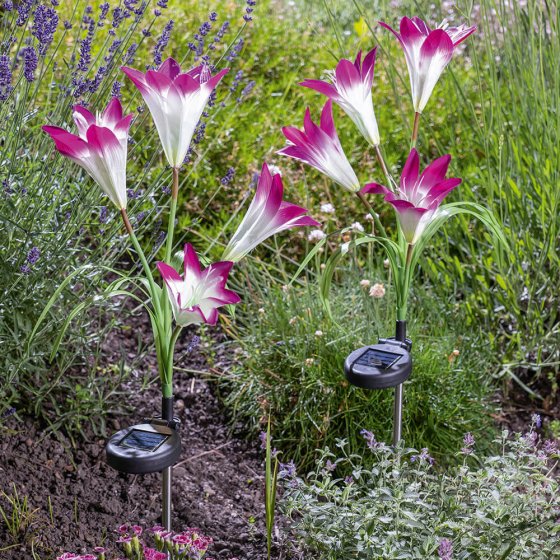 Fleurs LED solaires Lot de 2  