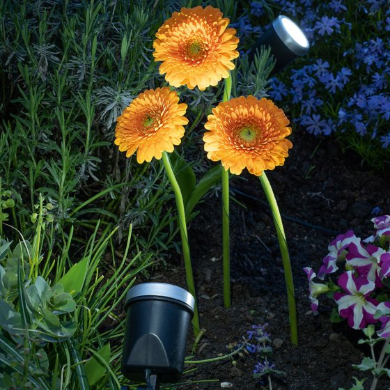 Spot de jardin  "spotlight" 