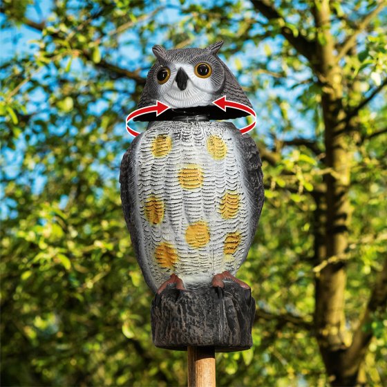Hibou épouvantail 