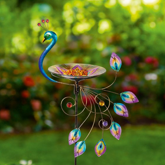 Bain d'oiseau « paon » 