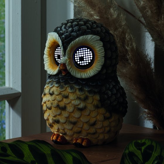 Hibou solaire aux yeux qui bougent 