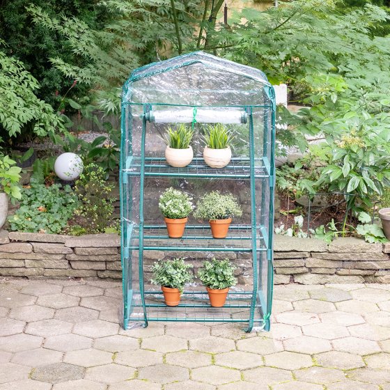 Serre pour plantes