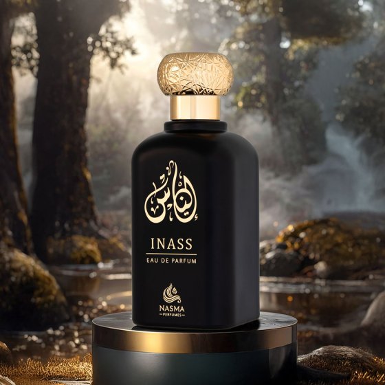 Parfum pour homme Inass 